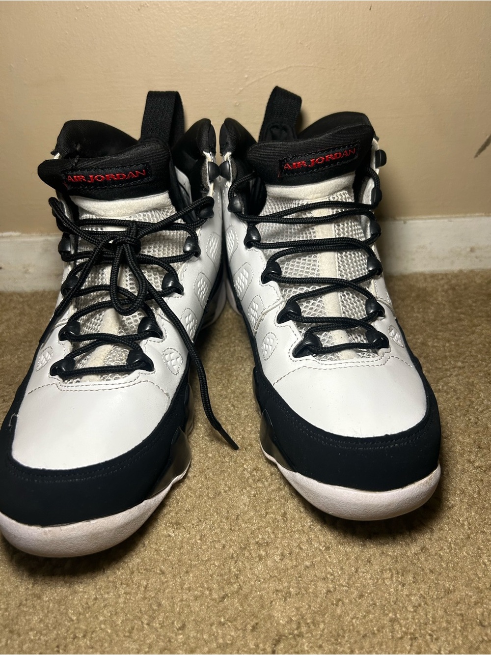 Jordan Space Jam (Size 8.5)
